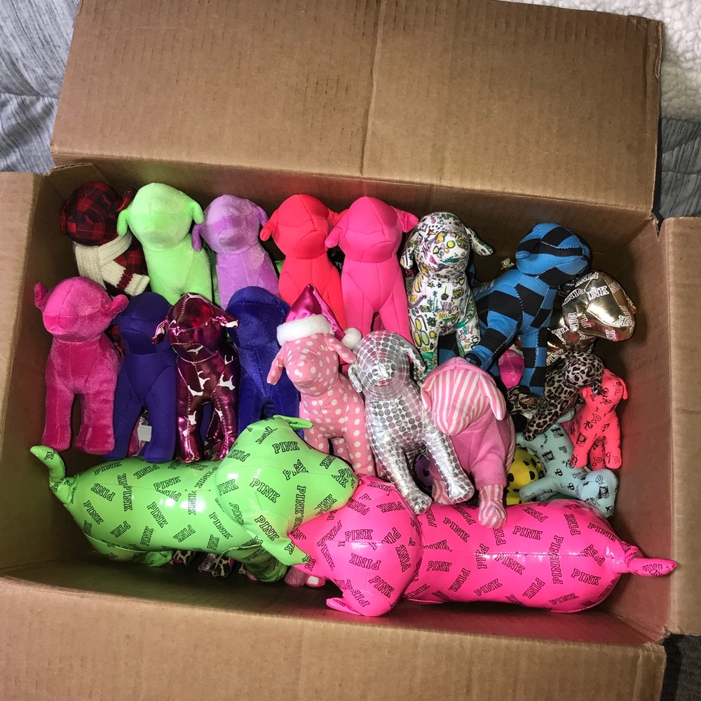 HUGE PINK dog bundle - Picture 16 of 16